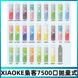 梟客XIAOKE|7500口可發光拋棄式電子煙 跑馬燈一次性