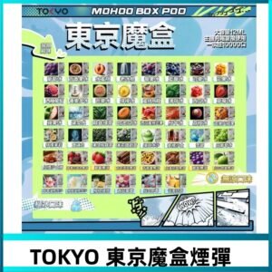 TOKYO MOHOO BOX東京魔盒煙彈可替換式電子煙|日本熱銷品牌